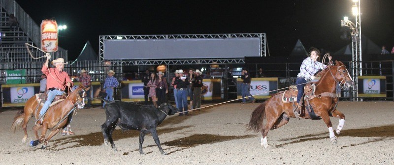 Festa do Peão de Cotia volta a ter montaria em touros e cavalos após 6 anos