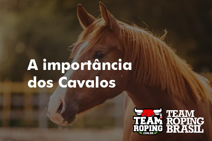 IMPORTANCIA DOS CAVALOS