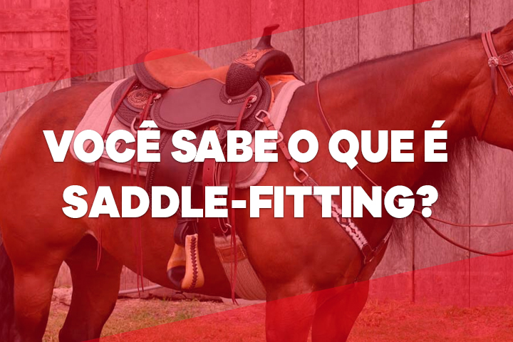 saddle fitting