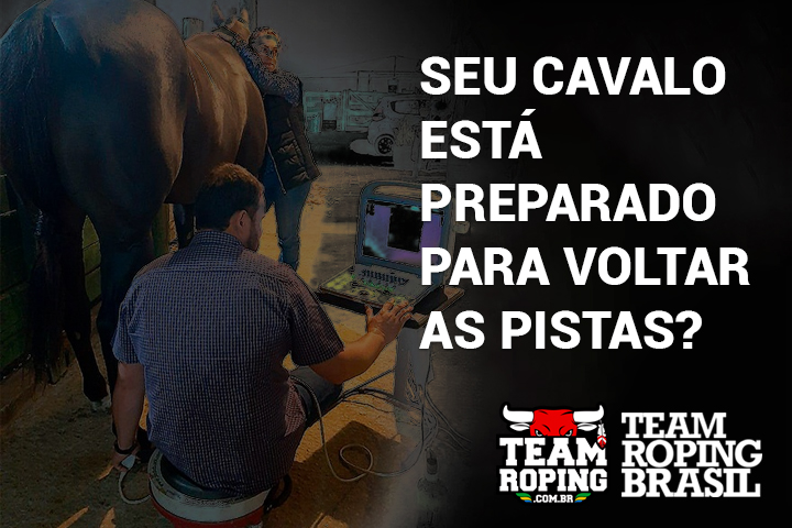 cavalo preparado