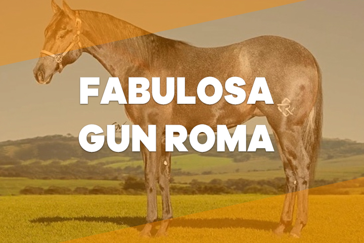 fabulosa gun roma