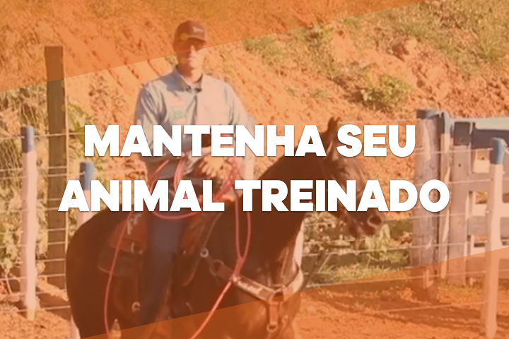 animal treinado