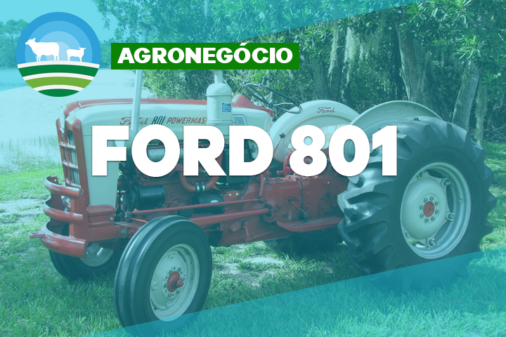 ford 801