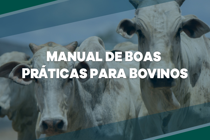 manual para bovinos