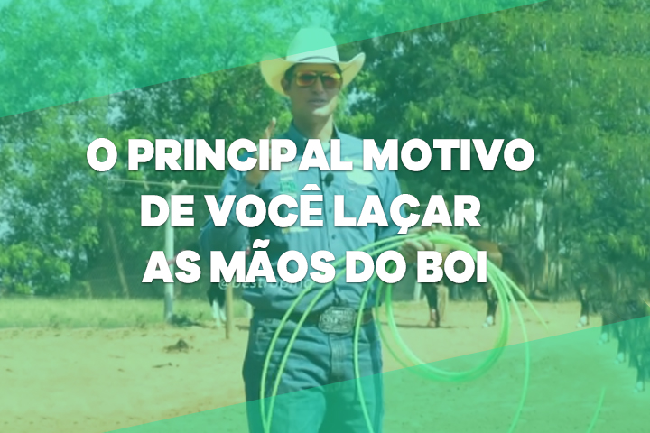 LAÇAR MÃOS DO BOI