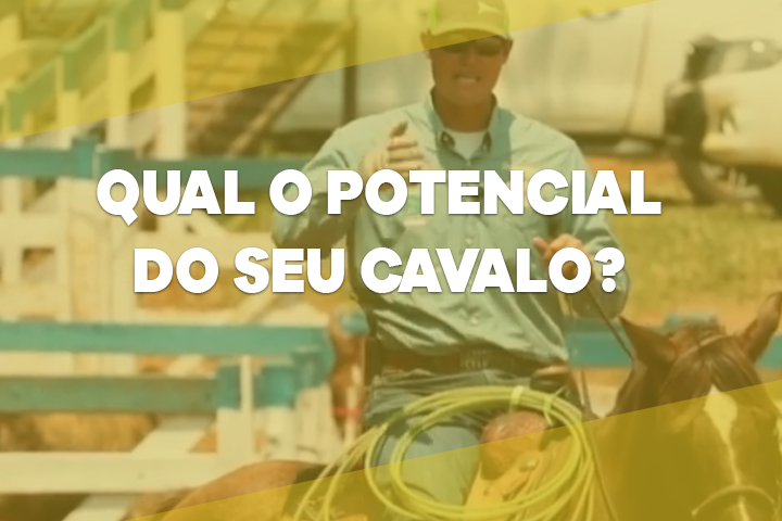 POTENCIAL DO CAVALO