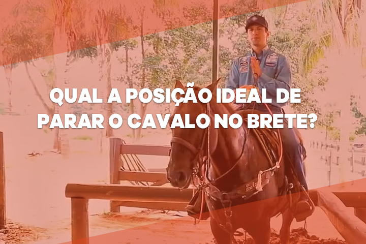 CAVALO NO BRETE