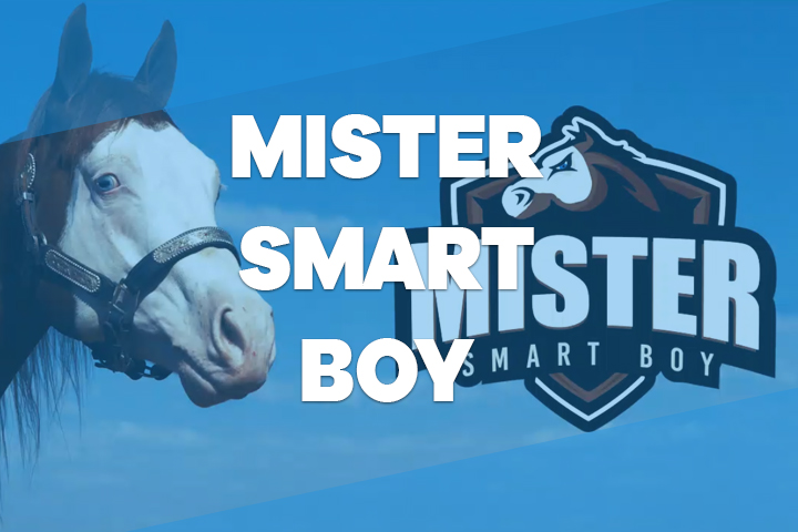 mister smart boy