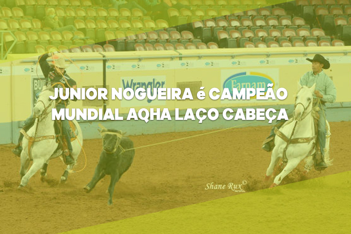 JUNIOR NOGUEIRA AQHA