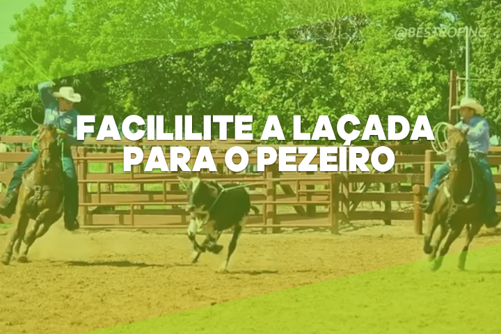 laçada pezeiro