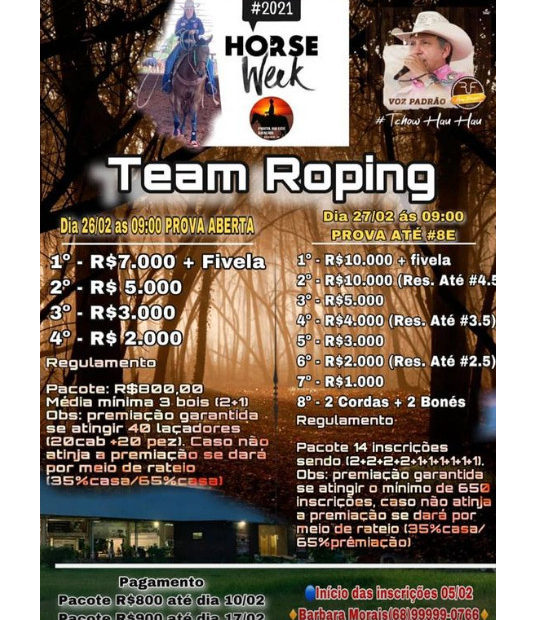 Team Roping Horse Week