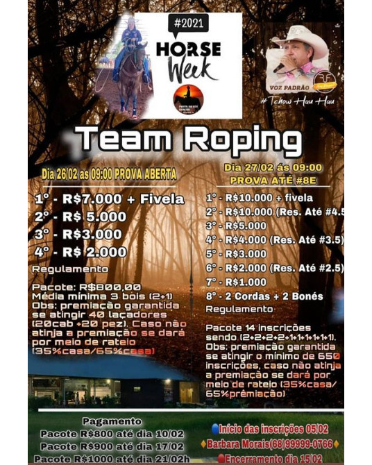 Team Roping Horse Week