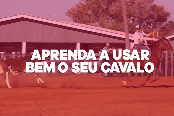 USAR BEM O CAVALO