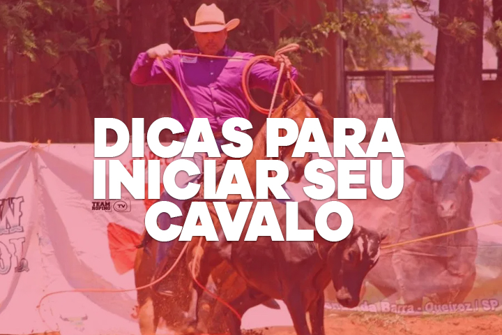 DICAS PARA INICIAR CAVALO