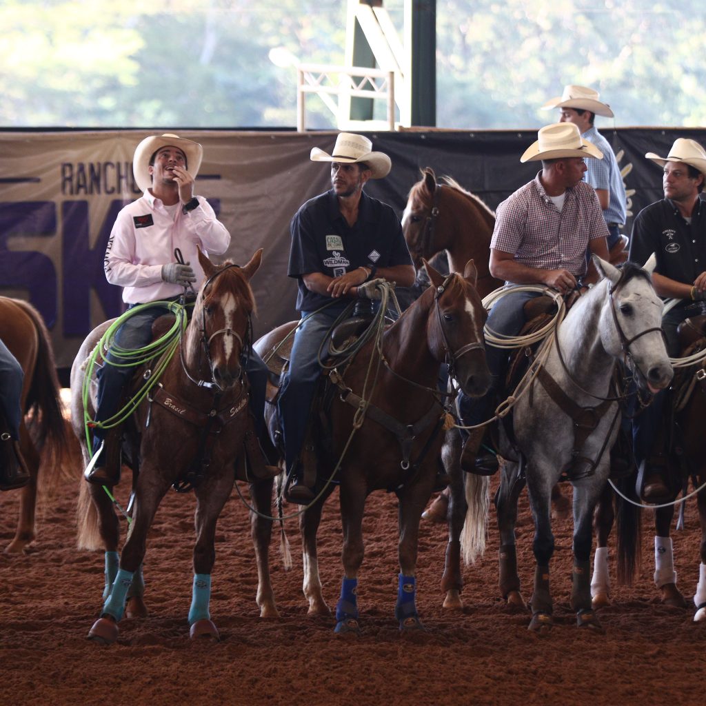 Calendário de Provas Revolution Team Roping 2024 Team Roping Brasil