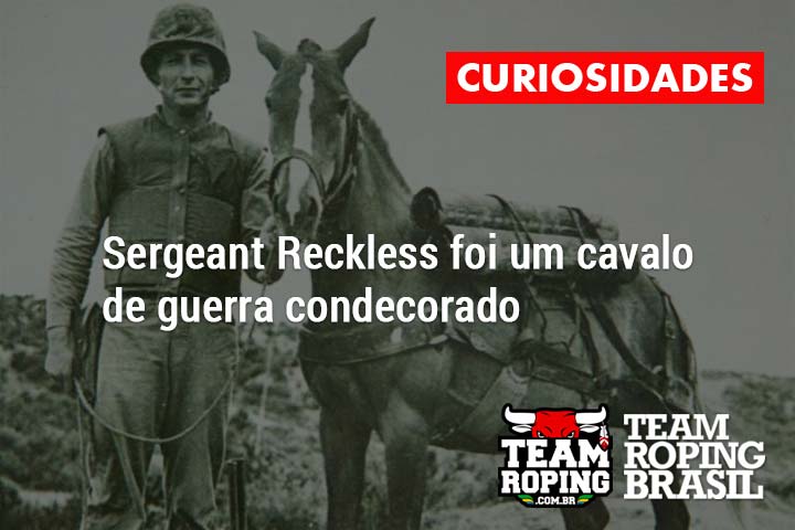 Comprar o Cavalo de Guerra