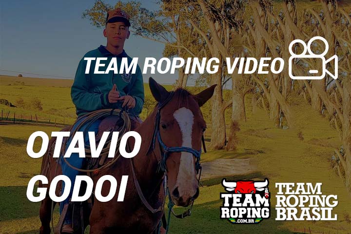 team roping