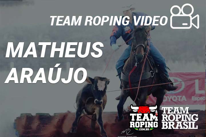 team roping