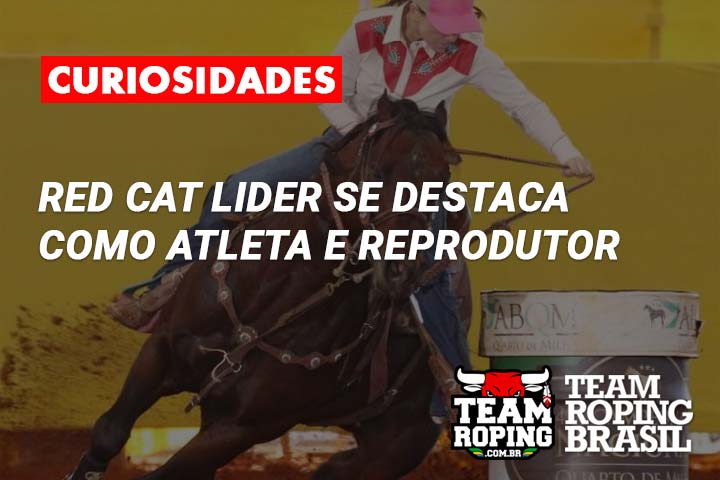 red cat lider