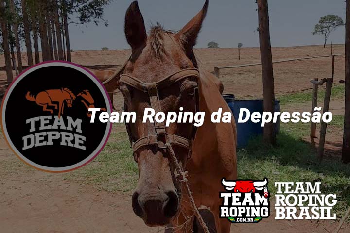 team roping da depressão