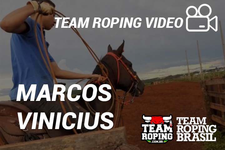 team roping