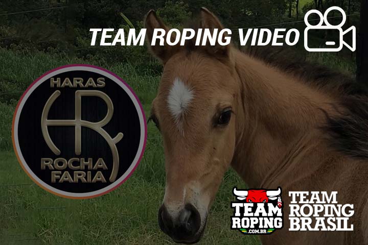 team roping