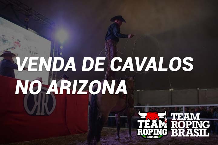 Encontrando o cavalo ideal no Arizona - Team Roping Brasil
