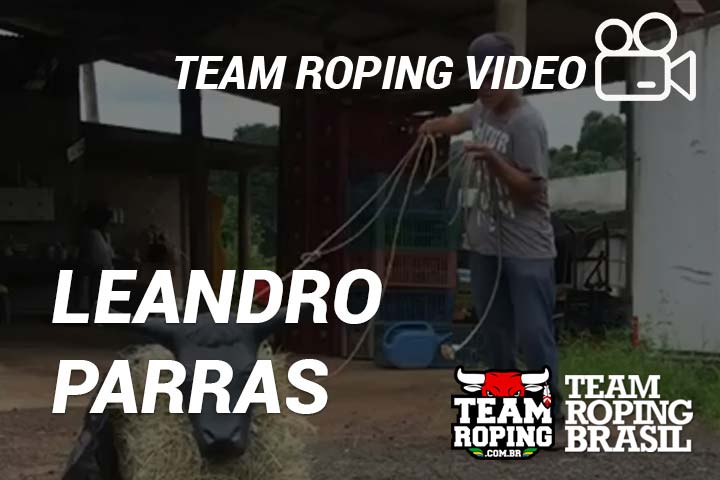 team roping