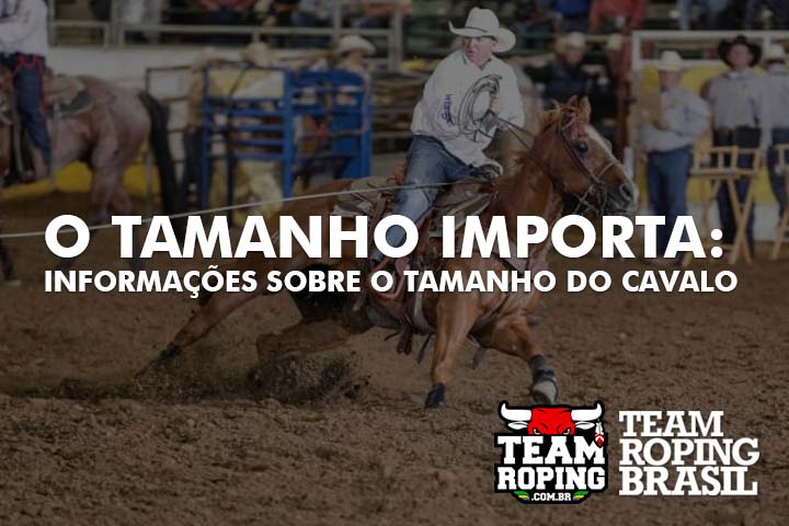 Encontrando o cavalo ideal no Arizona - Team Roping Brasil