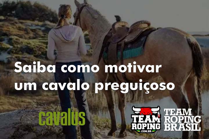 cavalo preguiçoso