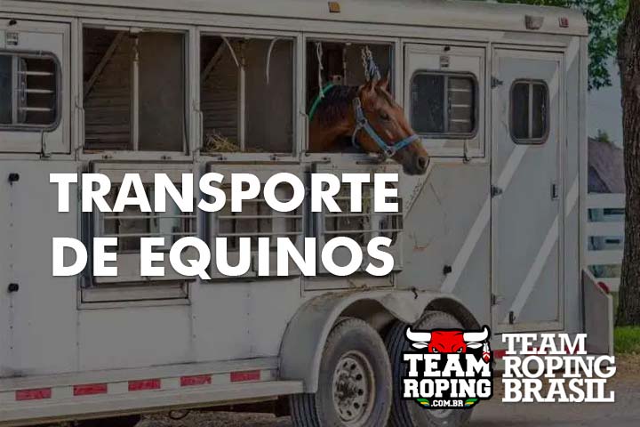 transporte de equinos