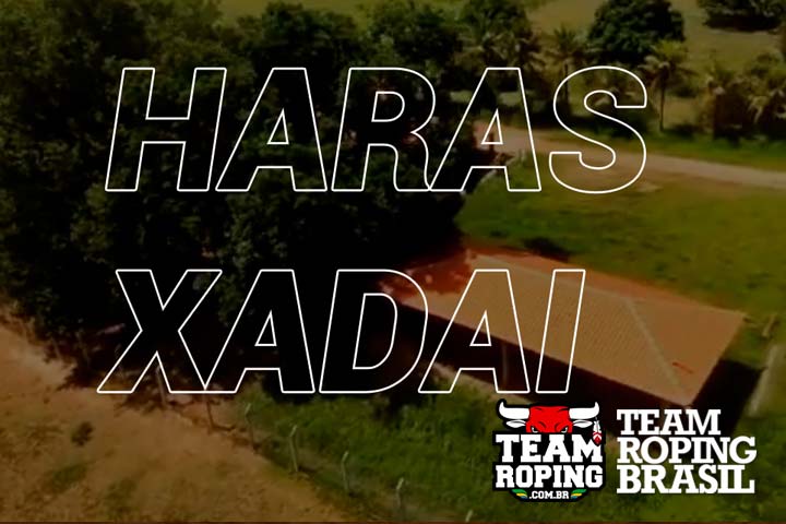 Haras Xadai