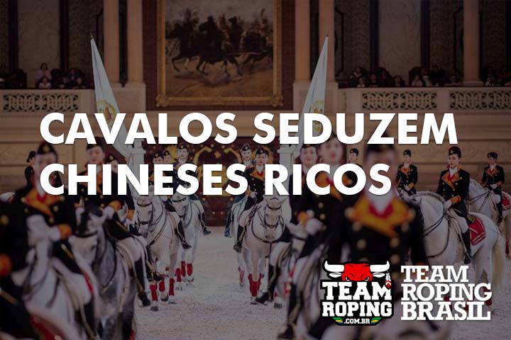 CAVALOS CHINESES