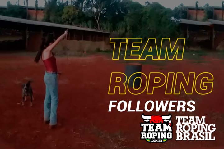 team roping