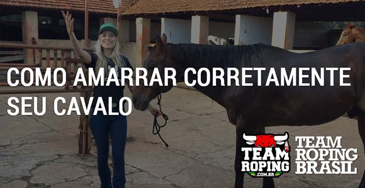 Massai: o capim que pode matar cavalos - Team Roping Brasil