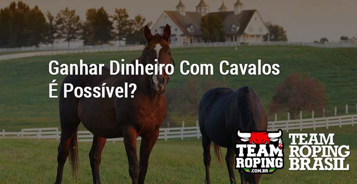 O NOVO cavalo inicial!